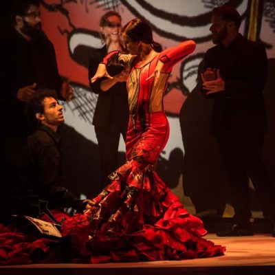 27 Flamenco-19