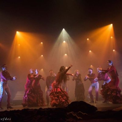 amores-flamencos16