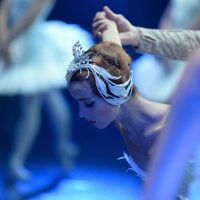 ballet-imperial-ruso-lago-cisnes04