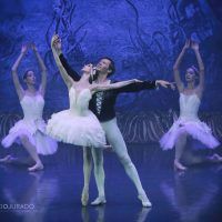ballet-imperial-ruso-lago-cisnes09