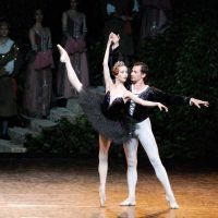 ballet-imperial-ruso-lago-cisnes10