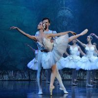 ballet-imperial-ruso-lago-cisnes11
