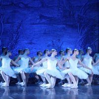 ballet-imperial-ruso-lago-cisnes14