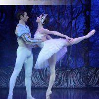 ballet-imperial-ruso-lago-cisnes16