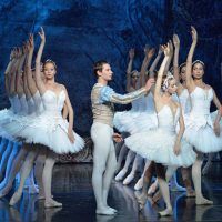 ballet-imperial-ruso-lago-cisnes17