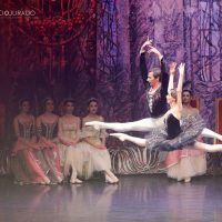 ballet-imperial-ruso-lago-cisnes18