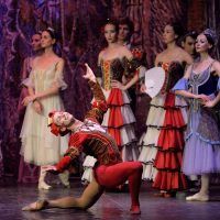 ballet-imperial-ruso-lago-cisnes19