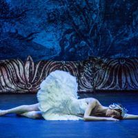 ballet-imperial-ruso-lago-cisnes22