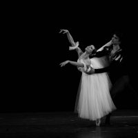 ballet-san-petersburgo-lago_33