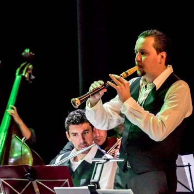 celtic-chamber-orchestra09