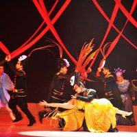 gran-circo-acrobatico-chino26