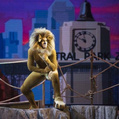 madagascar-el-musical104