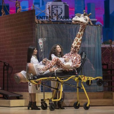 madagascar-el-musical105