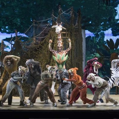 madagascar-el-musical119