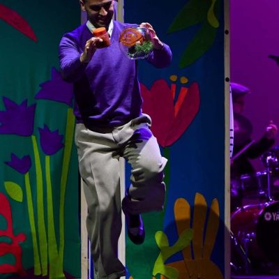 pequeno-pais-del-swing27